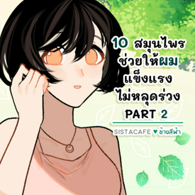 รูปภาพหน้าปกบทความ:10 สมุนไพรช่วยให้ผมแข็งแรง ไม่หลุดร่วง PART 2