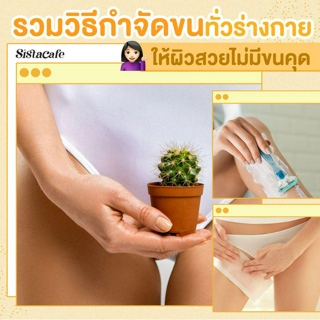 ภาพหน้าปกบทความ:title