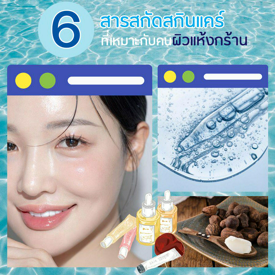 รูปภาพหน้าปกบทความ:ตอบโจทย์ผิวแห้งกร้าน! รวม 6 สารสกัดในสกินแคร์ เลือกให้เหมาะกับสภาพผิว