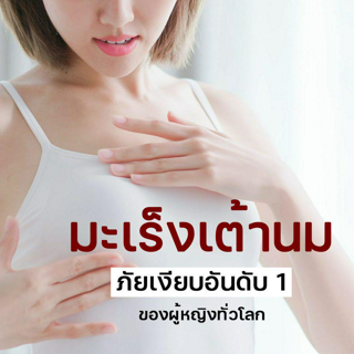 ภาพหน้าปกบทความ:title