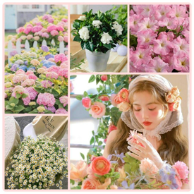 รูปภาพหน้าปกบทความ:6 ดอกไม้สู้แดด ความหมายดี มีสีน่ารัก 🌺 สดใสในหน้าร้อน~