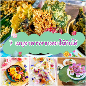 รูปภาพหน้าปกบทความ:เก็บสูตร! " 7 เมนูอาหารจากดอกไม้กินได้ " ทำง่าย สีสันน่าทาน เหมาะกับหน้าร้อน