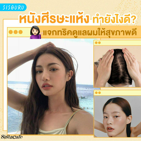 รูปภาพหน้าปกบทความ:หนังศีรษะแห้ง ทำยังไงดี? ลองทริคดูแลผมให้สุขภาพดี ลาซะทีความคัน