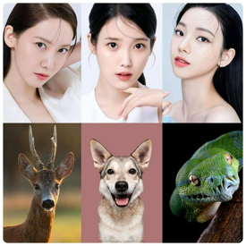 รูปภาพหน้าปกบทความ:รูปหน้าเราเป็นแบบไหน ? “Animal Face Type” เช็กรูปหน้าตัวเองตามเทรนด์ไอดอลเกาหลี