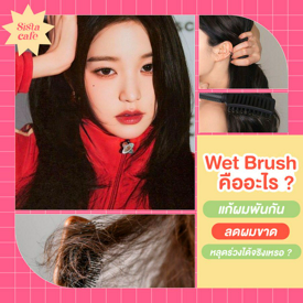 รูปภาพหน้าปกบทความ:Wet Brush แปรงหวีคืออะไร ?แก้ผมพันกัน ลดผมขาดหลุดร่วงง่ายได้จริงเหรอ ?