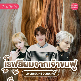 ภาพหน้าปกบทความ:title