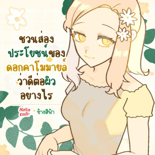 ภาพหน้าปกบทความ:title