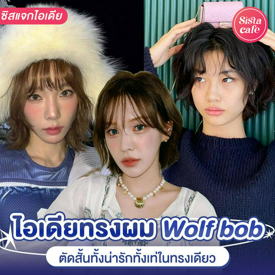 รูปภาพหน้าปกบทความ:Wolf bob อัปเดตไอเดียเปลี่ยนลุคตัดสั้น ให้ทั้งน่ารักและเท่ในทรงเดียว