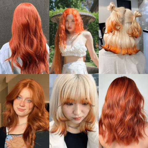 รูปภาพหน้าปกบทความ:สีผมจิ้งจอก 25 ไอเดีย Fox Hair Color ทำแล้วหน้าไบรท์ ลุคสวยออร่าดูไม่น่าเบื่อ