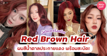 External Link: ผมสีน้ำตาลประกายแดง อัปเดตไอเดีย Red Brown Hair สวยแซ่บพร้อมสะบัด! | บทความของ ManooFK | SistaCafe ครบเครื่องเรื่องบิวตี้