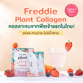 รูปภาพหน้าปกบทความ:Editor's Pick Award 2023 Freddie Plant Collagen คอลลาเจนจากพืชเจ้าแรกในไทย! อร่อย ทานง่าย ไม่มีน้ำตาล