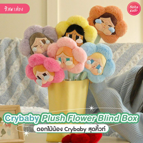 รูปภาพหน้าปกบทความ:Crybaby Plush Flower Blind Box ดอกไม้อะไรจะน่ารักขนาดนี้ สายจุ่มตามมาดูด่วน !