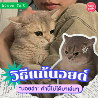 ภาพหน้าปกบทความ:title