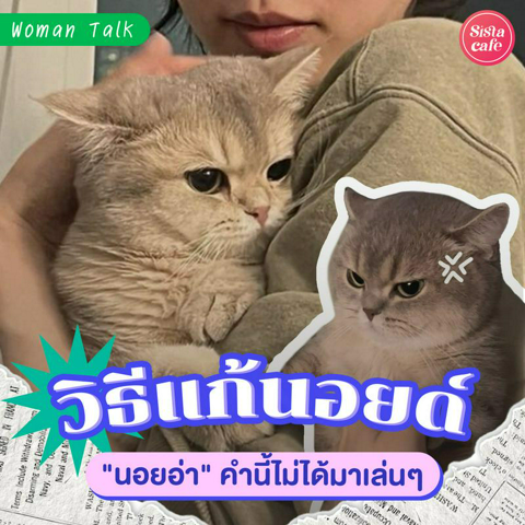 รูปภาพหน้าปกบทความ:วิธีแก้นอยด์ แก้ดาวน์ นอยอ่า คำนี้ไม่ได้มาเล่นๆ !