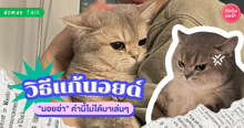 External Link: วิธีแก้นอยด์ แก้ดาวน์ นอยอ่า คำนี้ไม่ได้มาเล่นๆ ! | บทความของ SIS TALK | SistaCafe ครบเครื่องเรื่องบิวตี้