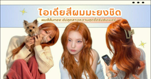 External Link: ไอเดียสีผมมะยงชิด ผมสีส้มทอง อัปลุคสาวหวานสุดจี๊ดรับซัมเมอร์ ! | บทความของ haneulrain | SistaCafe ครบเครื่องเรื่องบิวตี้