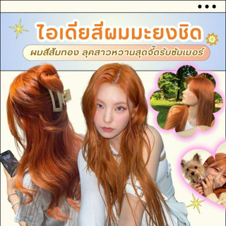 ภาพหน้าปกบทความ:title