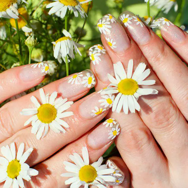 รูปภาพหน้าปกบทความ:น่ารักใสๆ รวมไอเดียเล็บดอกเดซี่ 'Daisy Nails Art'