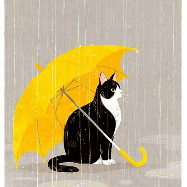 รูปภาพหน้าปกบทความ:ร่มกันฝนลายน้องแมวสุดน่ารัก กางทีไรน่ารักทูกที