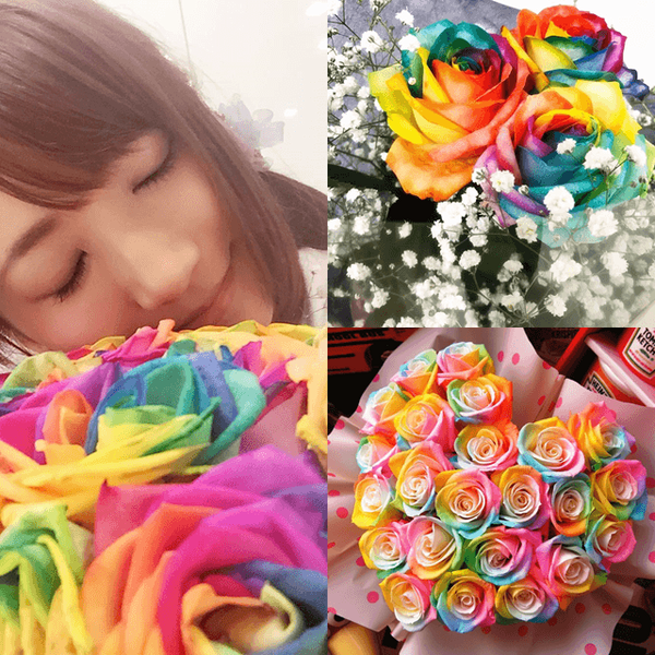 รูปภาพหน้าปกบทความ:How To : ทำ 'กุหลาบสีรุ้ง' มอบให้คนพิเศษ ในวันวาเลนไทน์