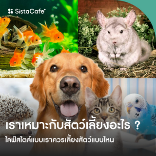 ภาพหน้าปกบทความ:title