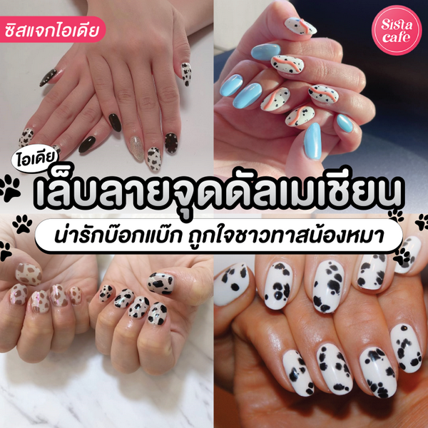 รูปภาพหน้าปกบทความ:เล็บลายจุดดัลเมเชียน ไอเดียสุดน่ารักบ๊อกแบ๊กสีขาวดำ ถูกใจชาวทาสน้องหมา