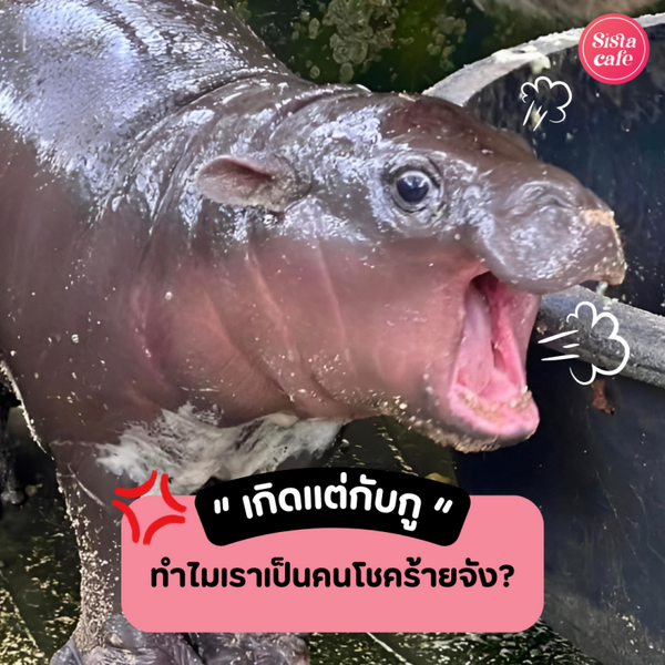 รูปภาพหน้าปกบทความ:เกิดแต่กับกู ! ไขข้อสงสัย ทำไมเรารู้สึกว่าตัวเองเป็นคนที่โชคร้ายจังนะ ?