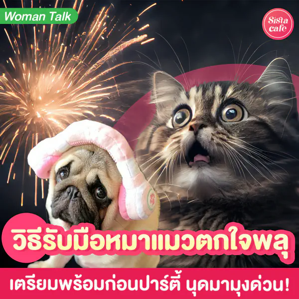 รูปภาพหน้าปกบทความ:วิธีรับมือเสียงพลุ ฮาวทูเตรียมตัวช่วงเทศกาล มลพิษทางเสียงที่หลายคนตกใจ