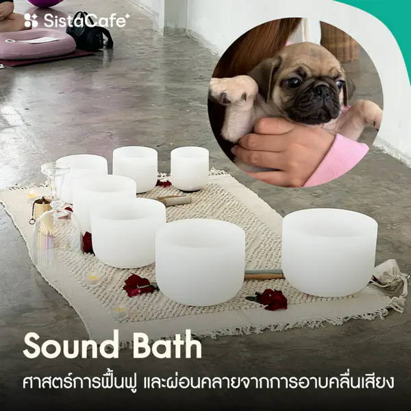 รูปภาพหน้าปกบทความ:Sound Bath บำบัดด้วยเสียง ฮีลใจกับลูกหมา The Pawse Club !