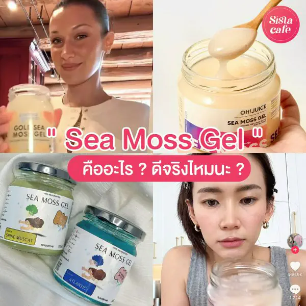 รูปภาพหน้าปกบทความ:Sea Moss Gel ซุปเปอร์ฟู้ดจากสายหร่ายทะเล กินตามเซเลบดีจริงไหมนะ ?
