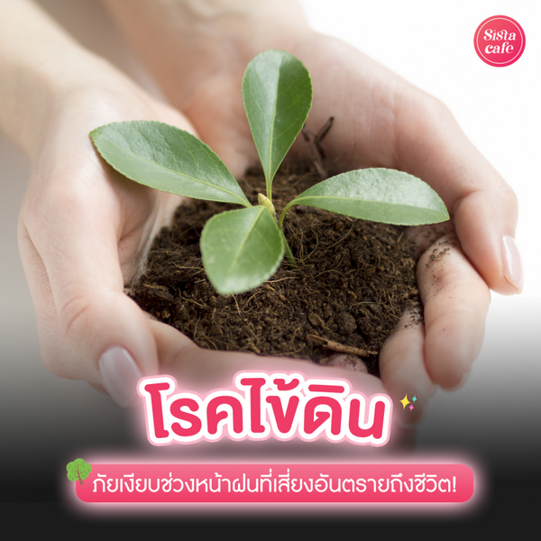 รูปภาพหน้าปกบทความ:โรคไข้ดิน ภัยเงียบช่วงหน้าฝนที่เสี่ยงอันตรายถึงชีวิต !