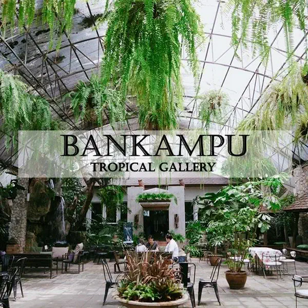 รูปภาพหน้าปกบทความ:จิบกาแฟชิลล์ๆ ใต้ร่มเงาไม้ ที่ 'Bankampu Tropical Gallery'