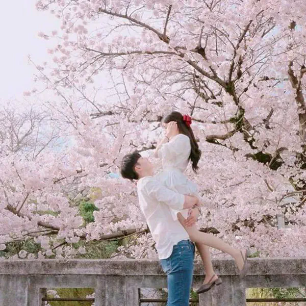 รูปภาพหน้าปกบทความ:20 ไอเดียการโพสท่าถ่ายรูปสไตล์ 'คู่รักชาวเกาหลี' กับ 'ดอกซากุระ' สีชมพู หวานซะ!!