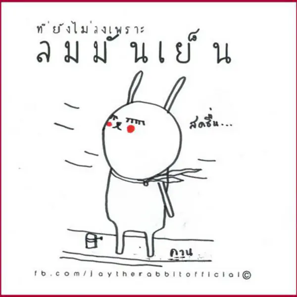 รูปภาพหน้าปกบทความ:รวมเพจสำหรับ 'สาวโสด' ใน Facebook แซ่บเวอร์ จนต้องบอกต่อ!