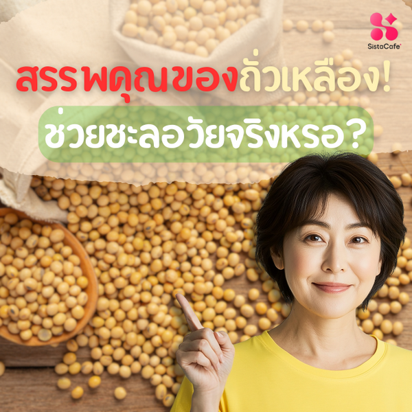 รูปภาพหน้าปกบทความ:สรรพคุณของถั่วเหลือง ช่วยชะลอวัยจริงเหรอ?
