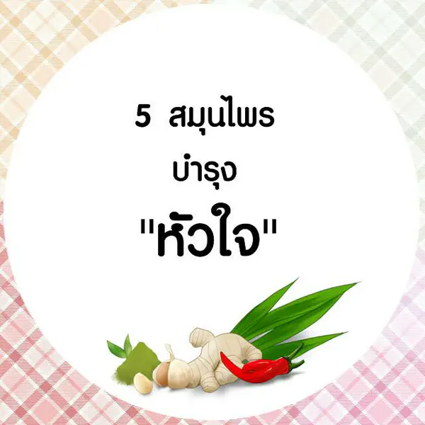 รูปภาพหน้าปกบทความ:5 สมุนไพรบำรุง "หัวใจ"
