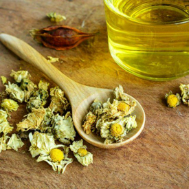 รูปภาพหน้าปกบทความ:รู้เอาไว้ไม่เสียหาย ประโยชน์ที่ได้รับจากการดื่ม "ชาดอกเบญจมาศ" ให้ข้อดีมากกว่าที่คิด!