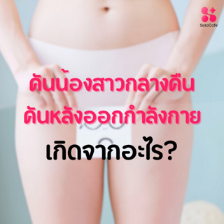 ภาพหน้าปกบทความ:title