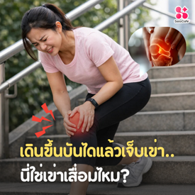 รูปภาพหน้าปกบทความ:เดินขึ้นบันไดแล้วเจ็บเข่า นี่ใช่เข่าเสื่อมไหม?
