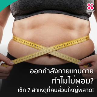 ภาพหน้าปกบทความ:title