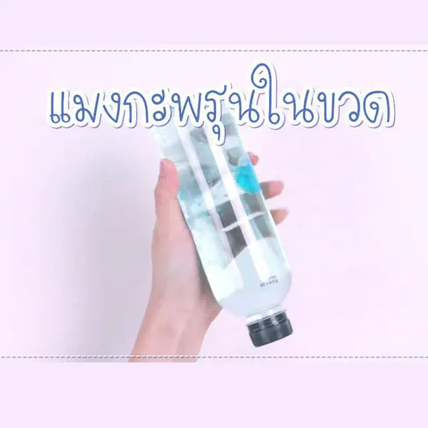 รูปภาพหน้าปกบทความ:DIY : ของใช้ที่มีอยู่ในบ้าน ให้มาเป็น 'แมงกะพรุนขวดน้ำ' ของเล่นแสนน่ารักกันเถอะ!