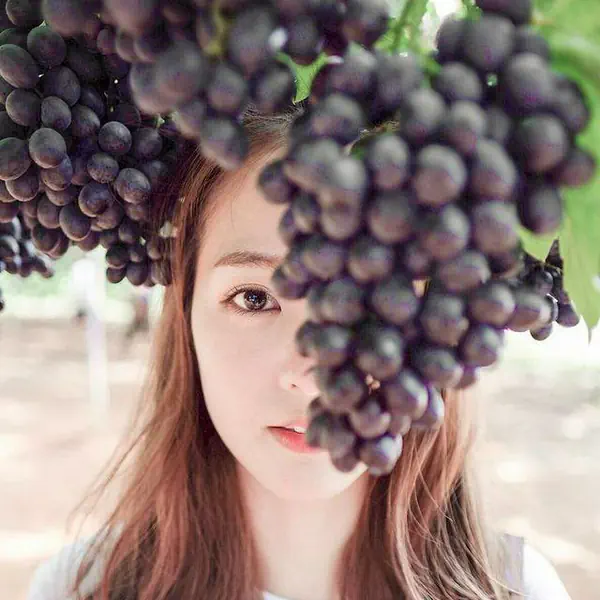 รูปภาพหน้าปกบทความ:ตีแผ่กันไปเลย!!! กิน 'องุ่น' ลดน้ำหนัก จะผอมได้จริงเหรอ (•ิ_•ิ)?