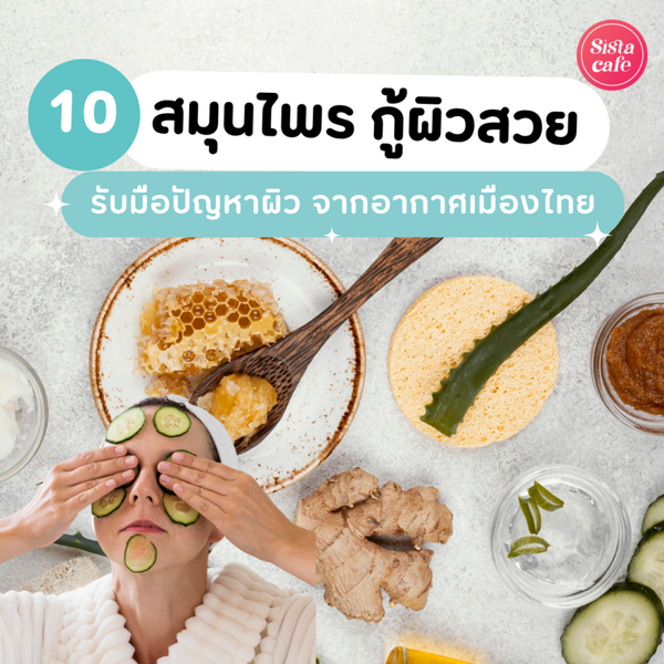 รูปภาพหน้าปกบทความ:สมุนไพรกู้ผิวสวย รับมือปัญหาผิว อากาศเมืองไทยก็ทำอะไรผิวไม่ได้ !