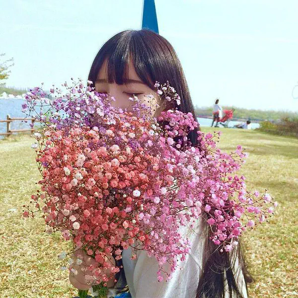รูปภาพหน้าปกบทความ:มีความหมายนะรู้ยัง!? 5 ดอกไม้ เปี่ยม 'ความหมาย' ที่คุณอาจไม่เคยรู้มาก่อน