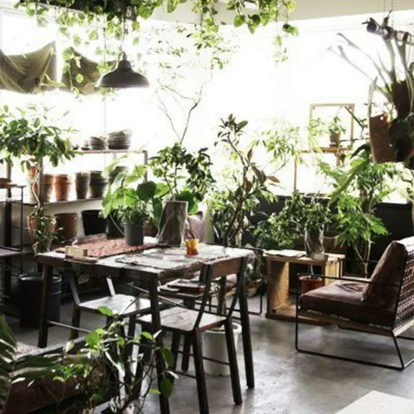 รูปภาพหน้าปกบทความ:20 ไอเดียการตกแต่ง 'ร้านอาหาร' บรรยากาศสไตล์กลางป่า #กินและฟินธรรมชาติ