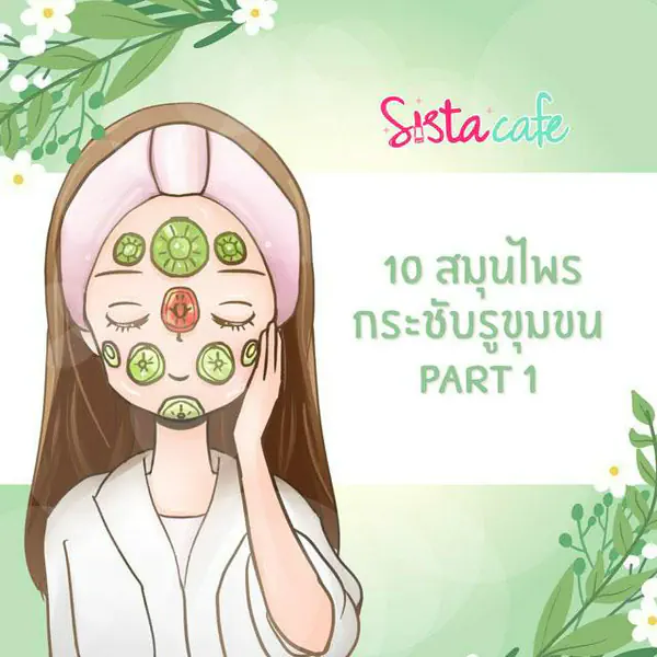รูปภาพหน้าปกบทความ:10 สมุนไพรกระชับรูขุมขน (Part 1)