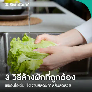 ภาพหน้าปกบทความ:title