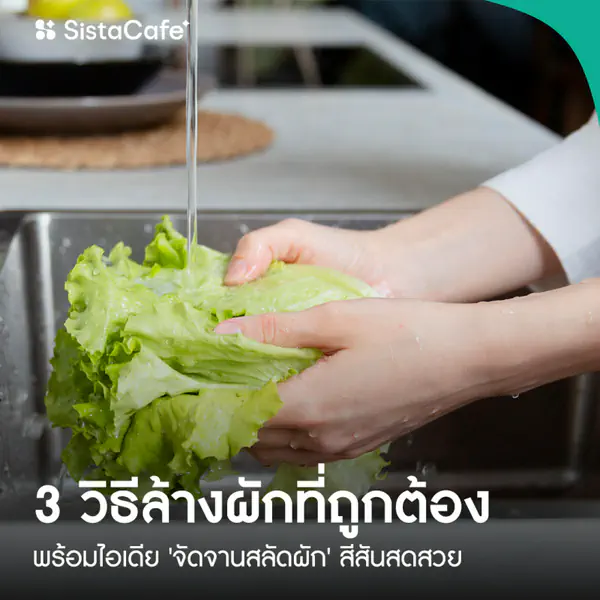 รูปภาพหน้าปกบทความ:3 วิธีล้างผักที่ถูกต้อง พร้อมไอเดีย 'จัดจานสลัดผัก' สีสันสดสวย ทั้งครีเอท ทั้งมีประโยชน์ต่อร่างกาย!