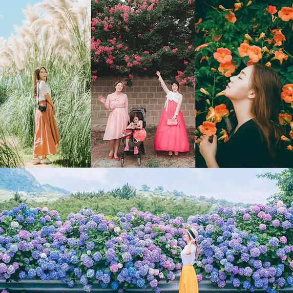 รูปภาพหน้าปกบทความ:สายฮิปห้ามพลาด! 5 โลเคชั่นยอดฮิตถ่ายรูปกับ 'หมู่มวลดอกไม้' ในเกาหลี #รีวิวเกาหลี