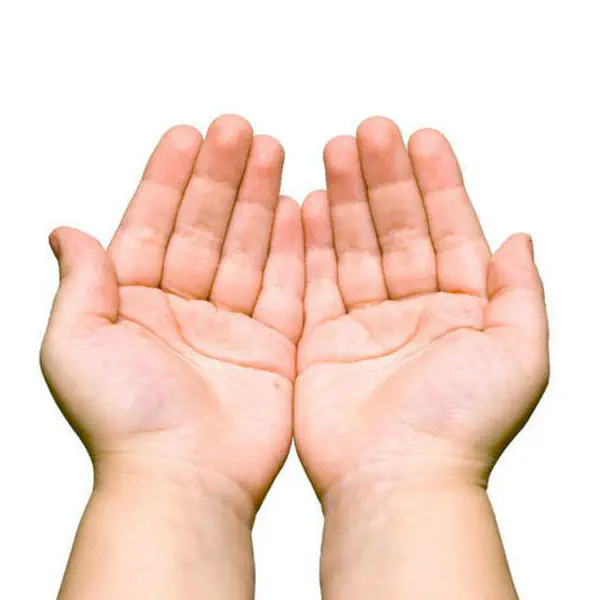 รูปภาพหน้าปกบทความ:เช็คความเนื้อหอมจากลายมือสไตล์ญี่ปุ่น